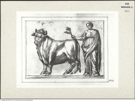 Vorderseite von bh383162_recto