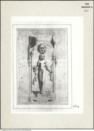 Vorderseite von bh383166_recto