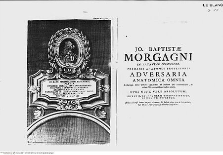 Vorderseite von bh383318x1