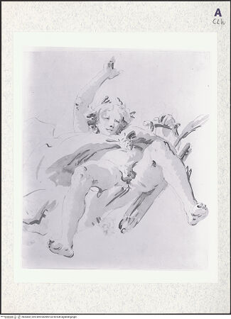 Vorderseite von bh383482_recto