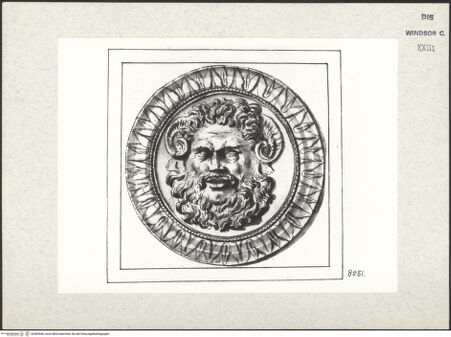 Vorderseite von bh383546_recto