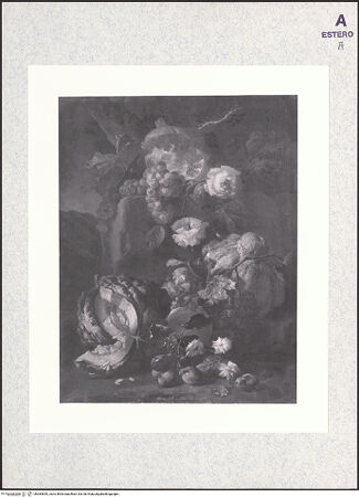 Vorderseite von bh383655_recto