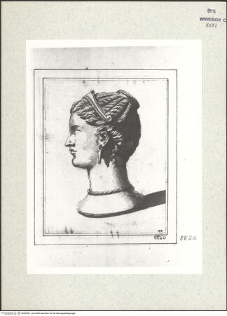 Vorderseite von bh383881_recto