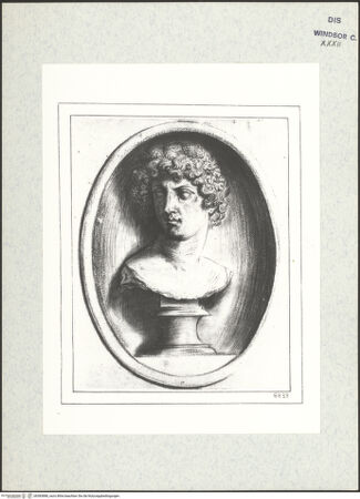 Vorderseite von bh383888_recto