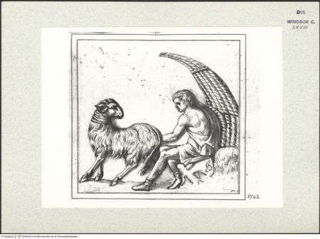 Vorderseite von bh383955_recto