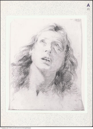 Vorderseite von bh383972_recto