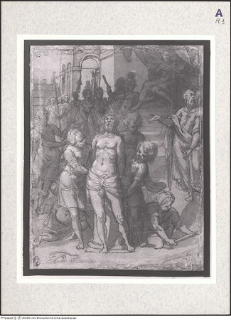 Vorderseite von bh383982_recto