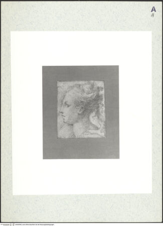 Vorderseite von bh383983_recto