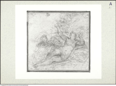 Vorderseite von bh384006_recto