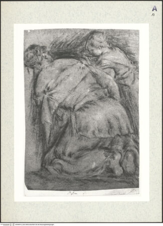 Vorderseite von bh384016_recto