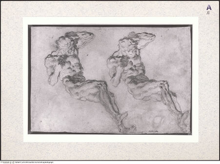 Vorderseite von bh384017_recto