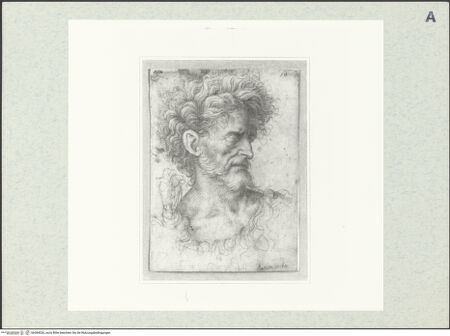 Vorderseite von bh384026_recto