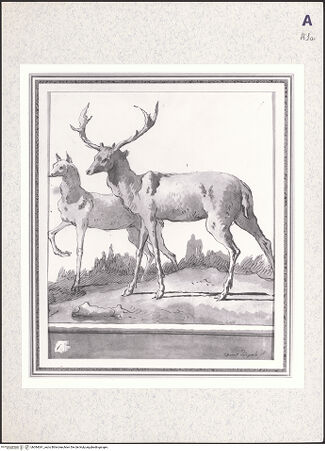 Vorderseite von bh384041_recto