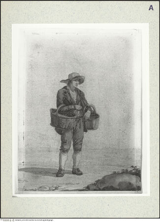 Vorderseite von bh384053_recto