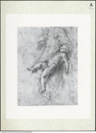 Vorderseite von bh384088_recto