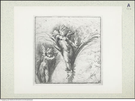 Vorderseite von bh384089_recto