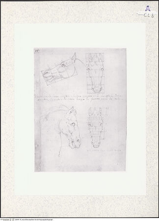 Vorderseite von bh384110_recto