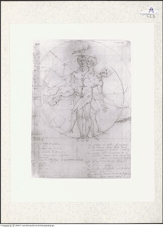 Vorderseite von bh384111_recto