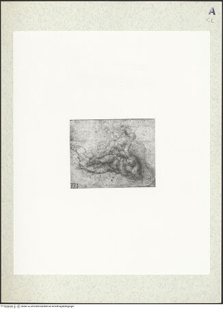 Vorderseite von bh384114_recto