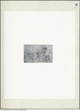 Vorderseite von bh384116_recto