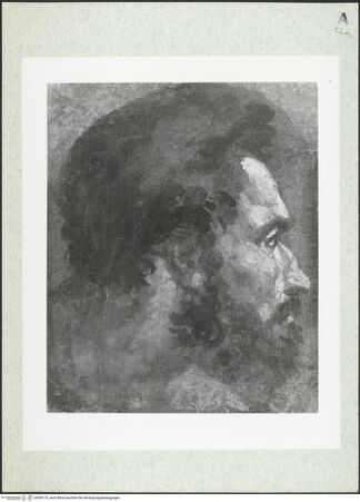 Vorderseite von bh384119_recto