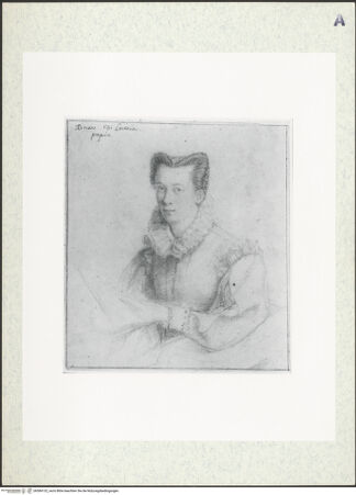 Vorderseite von bh384132_recto