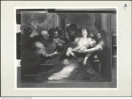 Vorderseite von bh384207_recto