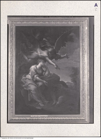 Vorderseite von bh384242_recto