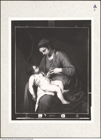 Vorderseite von bh384263_recto