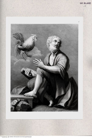 Vorderseite von bh384321