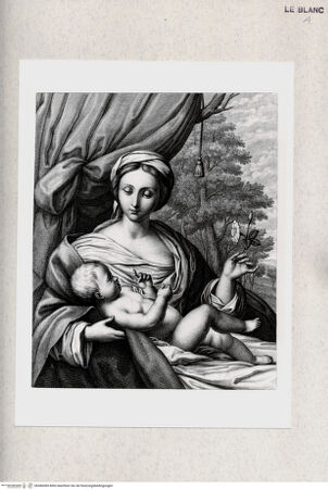 Vorderseite von bh384385