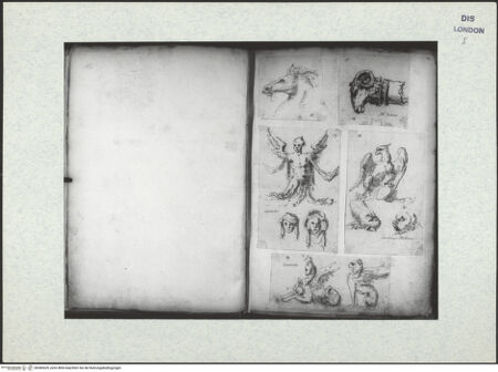 Vorderseite von bh384529_recto