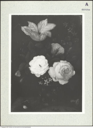 Vorderseite von bh384663_recto