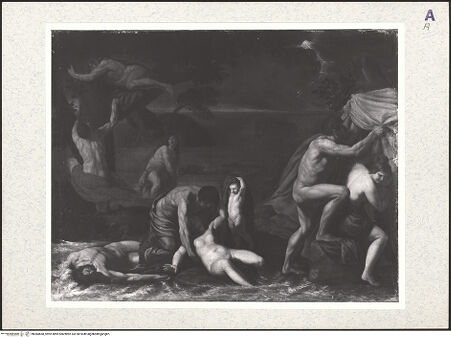 Vorderseite von bh384668_recto