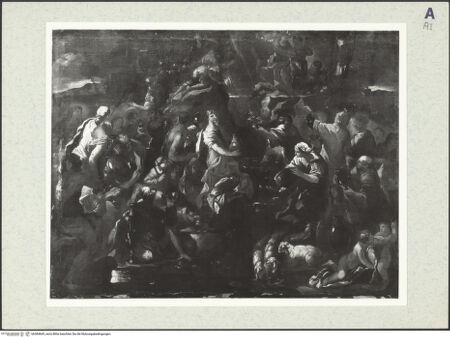 Vorderseite von bh384669_recto