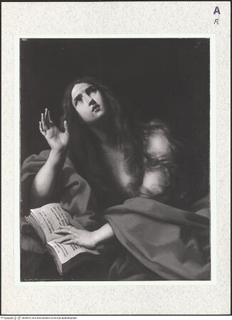 Vorderseite von bh384676_recto