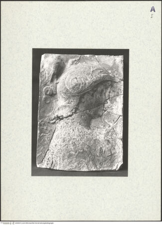 Vorderseite von bh385015_recto