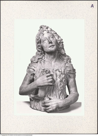 Vorderseite von bh385089_recto