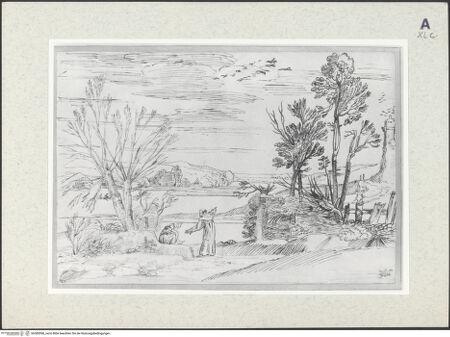 Vorderseite von bh385098_recto