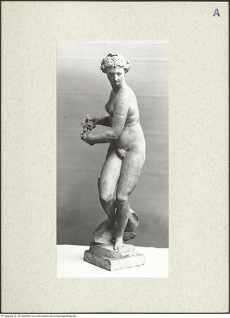 Vorderseite von bh385389_recto