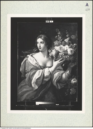 Vorderseite von bh386257_recto