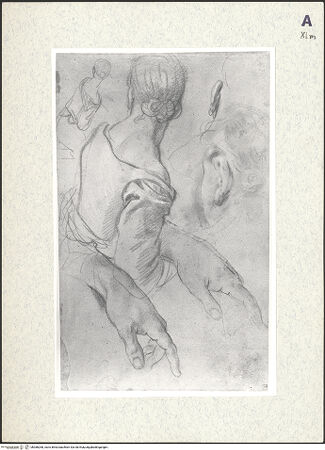 Vorderseite von bh386268_recto