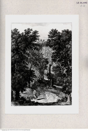 Vorderseite von bh386294