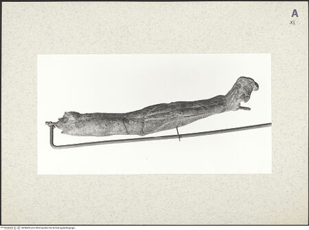 Vorderseite von bh386403_recto