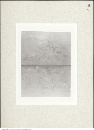 Vorderseite von bh386433_recto