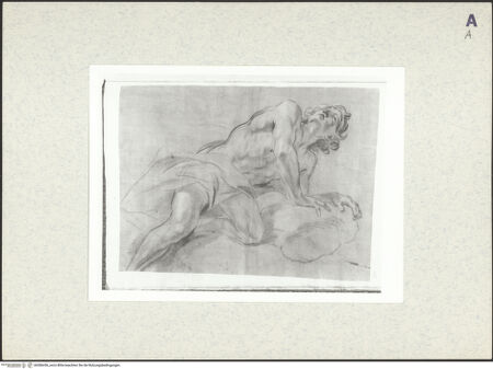 Vorderseite von bh386436_recto