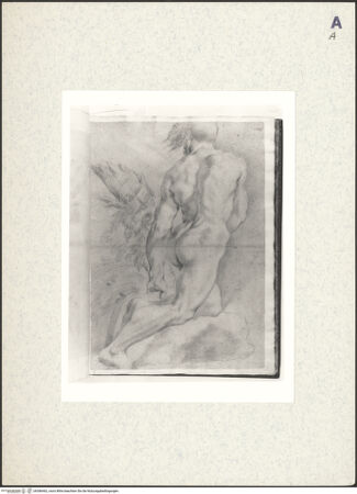 Vorderseite von bh386462_recto