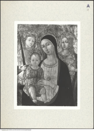 Vorderseite von bh386523_recto