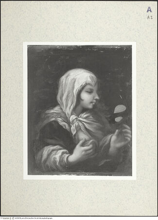 Vorderseite von bh386528_recto