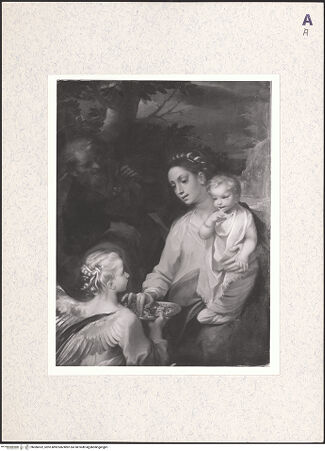 Vorderseite von bh386532_recto